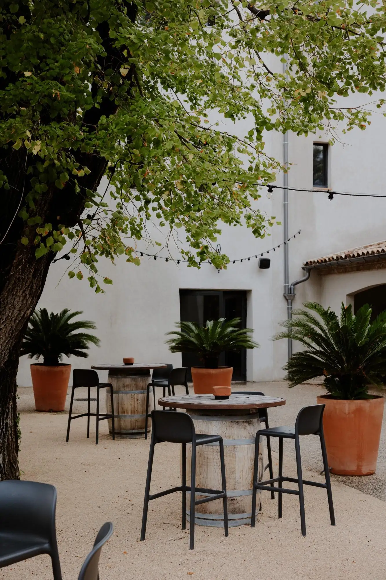 Domaine pour mariage bouches du rhone ext�rieur mariage