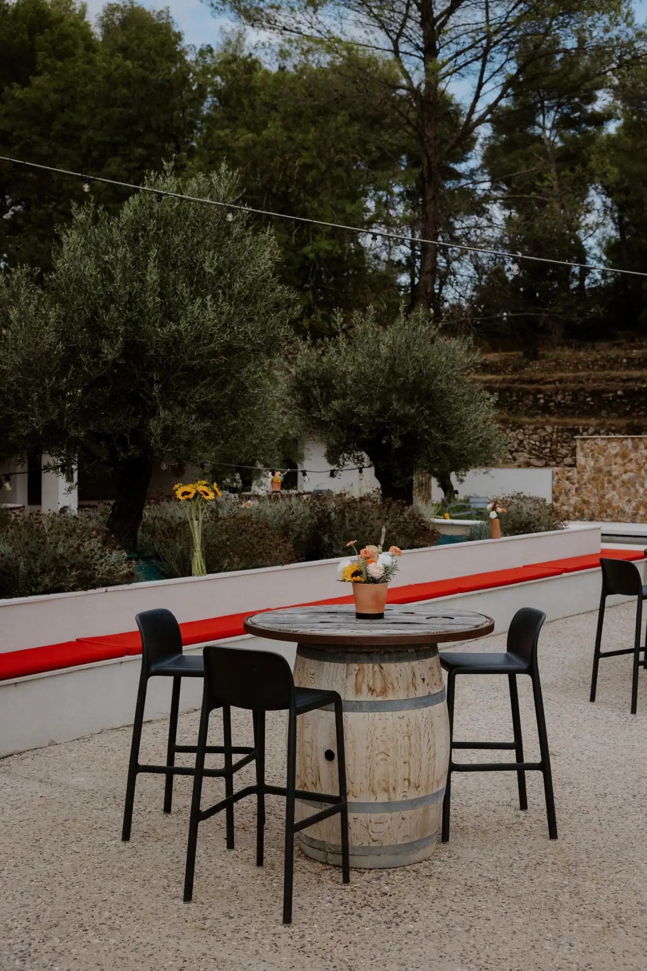 Domaine pour mariage bouches du rhone seminaire