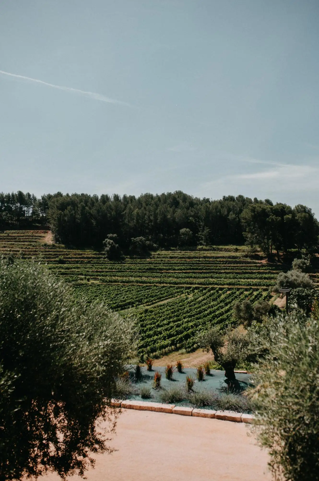 Organisation s�minaire entreprise bouches du rhone olivier
